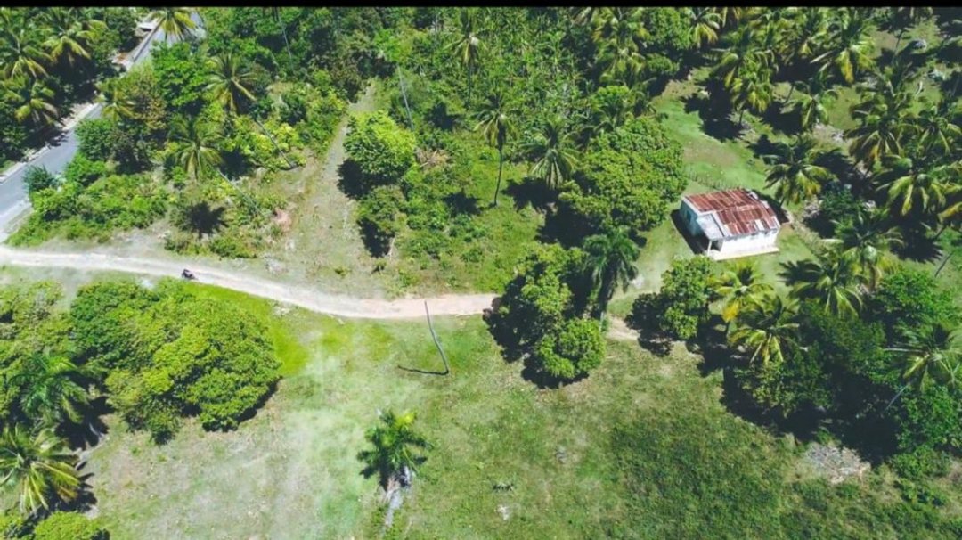 Solar en Samaná, Loma de la Piña, foto 5