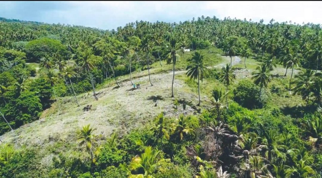Solar en Samaná, Loma de la Piña, foto 2