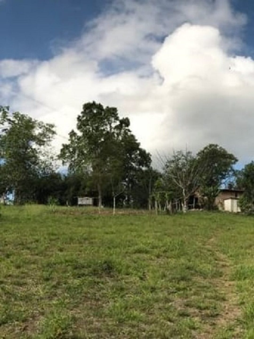 Lot in Sierra Prieta