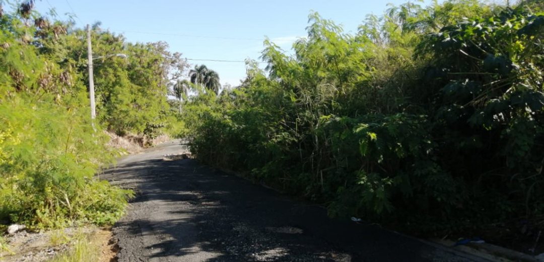 Solar en Pantoja, Los Alcarrizos, foto 2