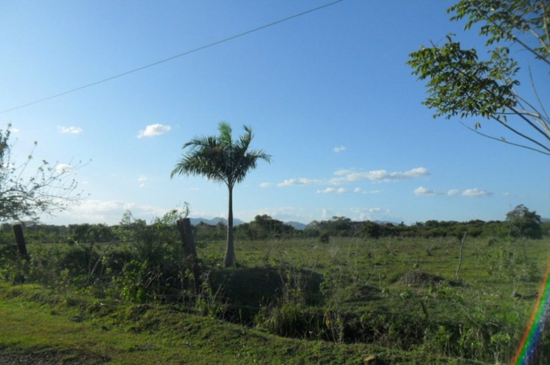 Solar en Yacó, Pedro Brand, foto 3