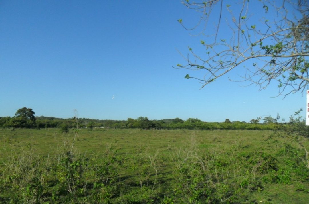 Solar en Yacó, Pedro Brand, foto 2