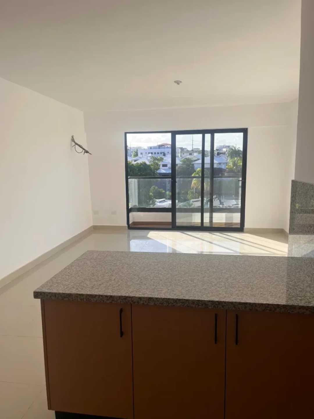 Apartamento en Arroyo Hondo, foto 2