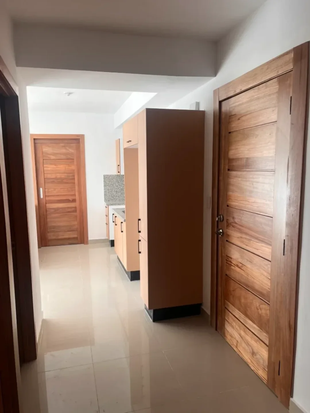 Apartamento en Arroyo Hondo, foto 5