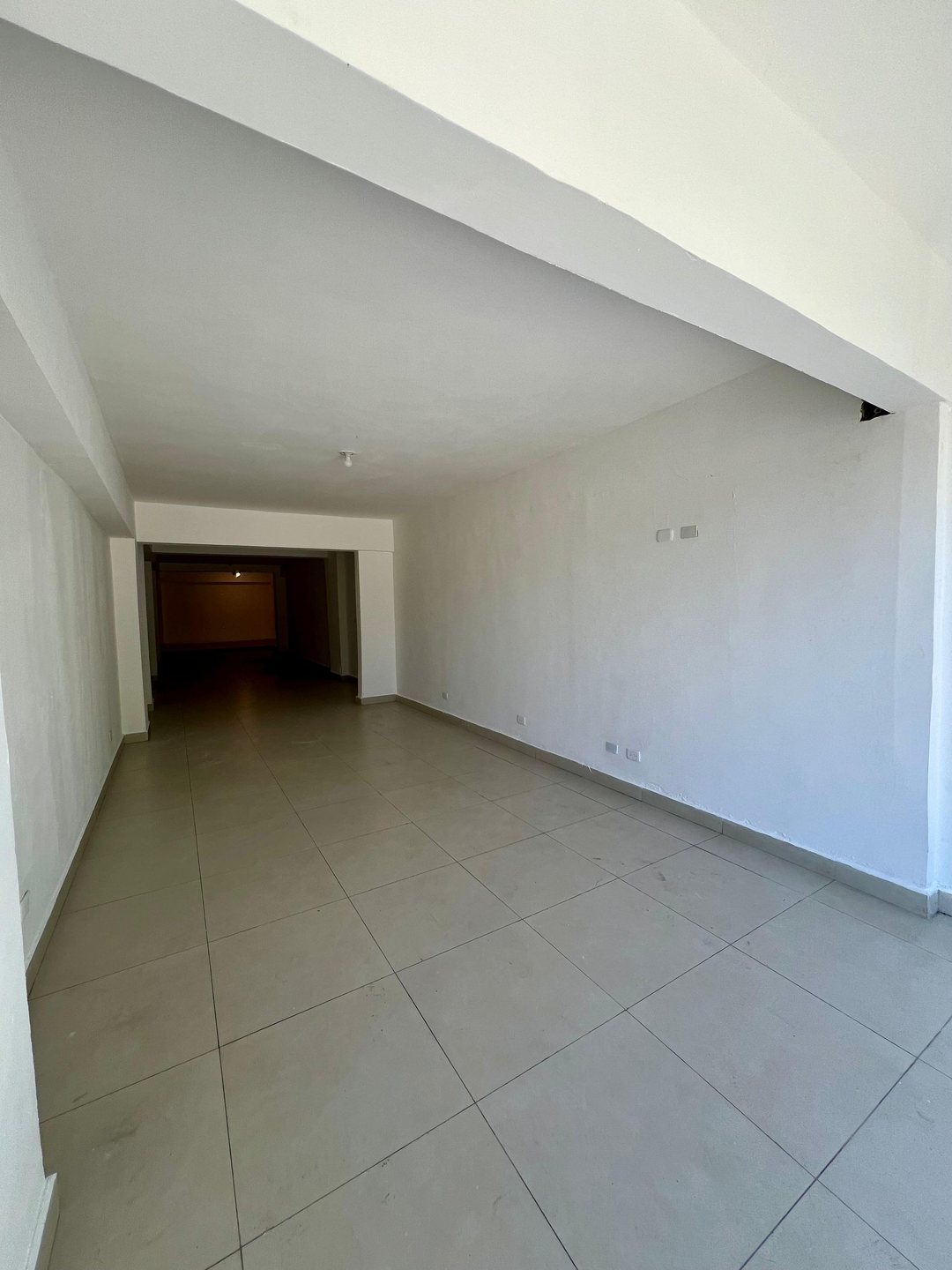 Local comercial en Bella Vista, foto 2