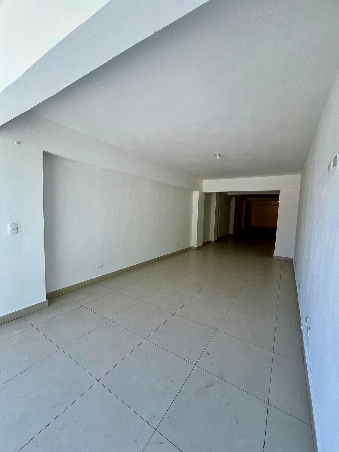 Local comercial en Bella Vista, foto 3