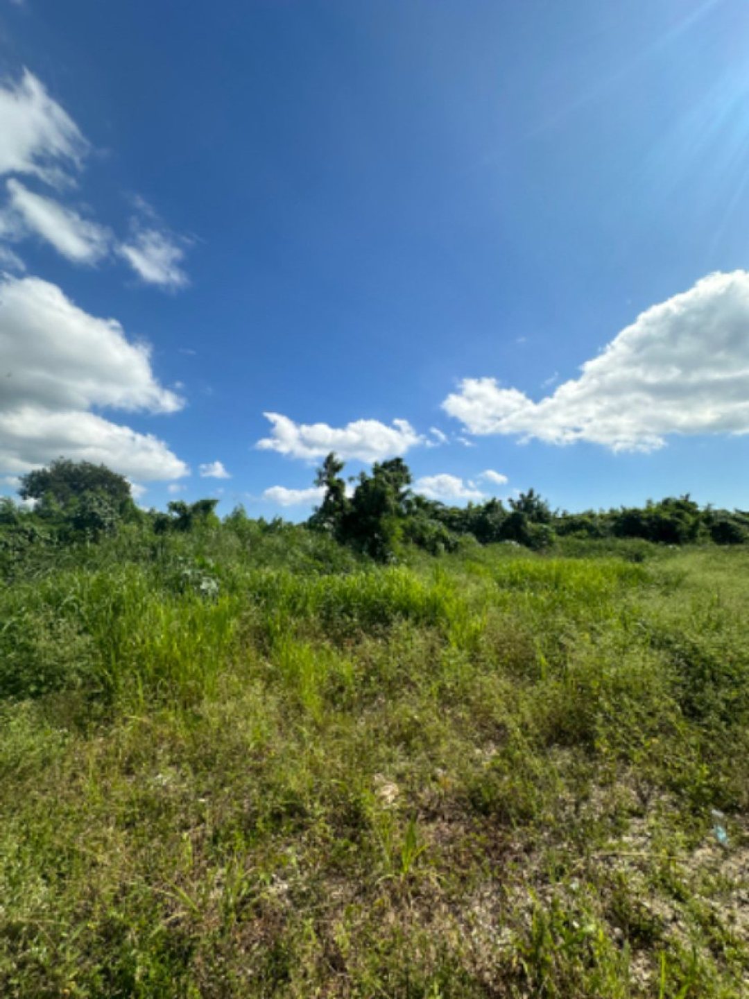 Lot in Metro Country Club