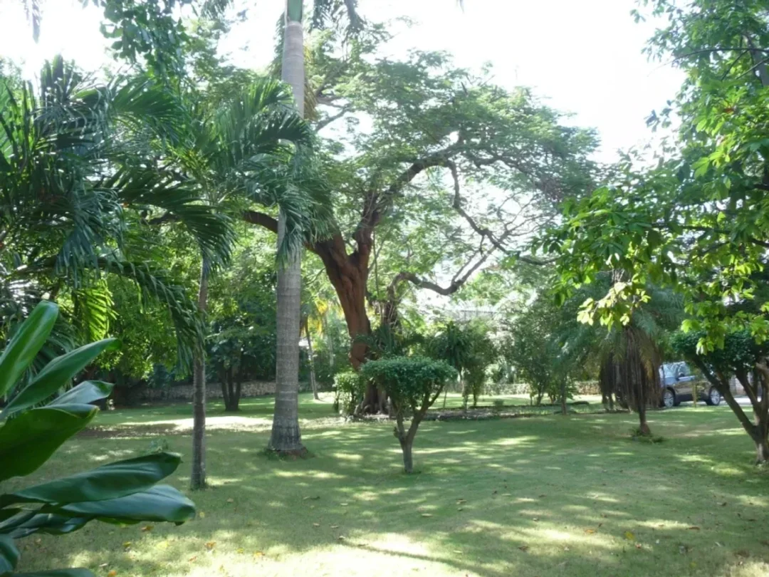 Lot in La Esperilla