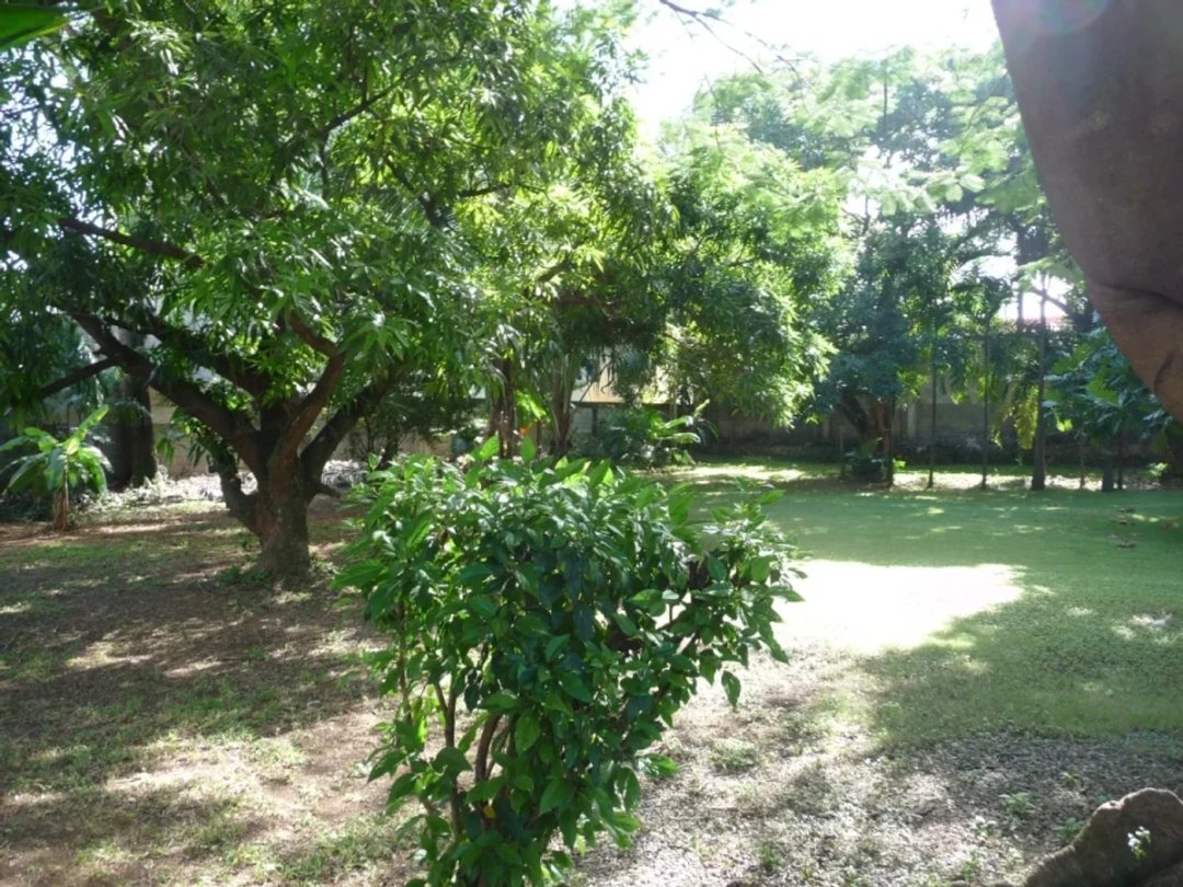 Solar en La Esperilla, foto 4