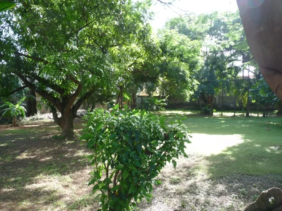 Solar en La Esperilla, foto 3