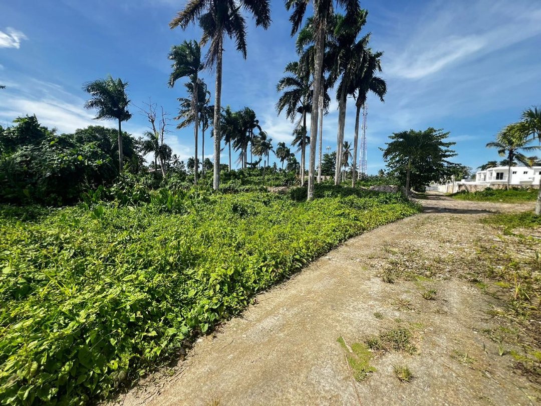 Solar en Las Terrenas (Cabecera), foto 2