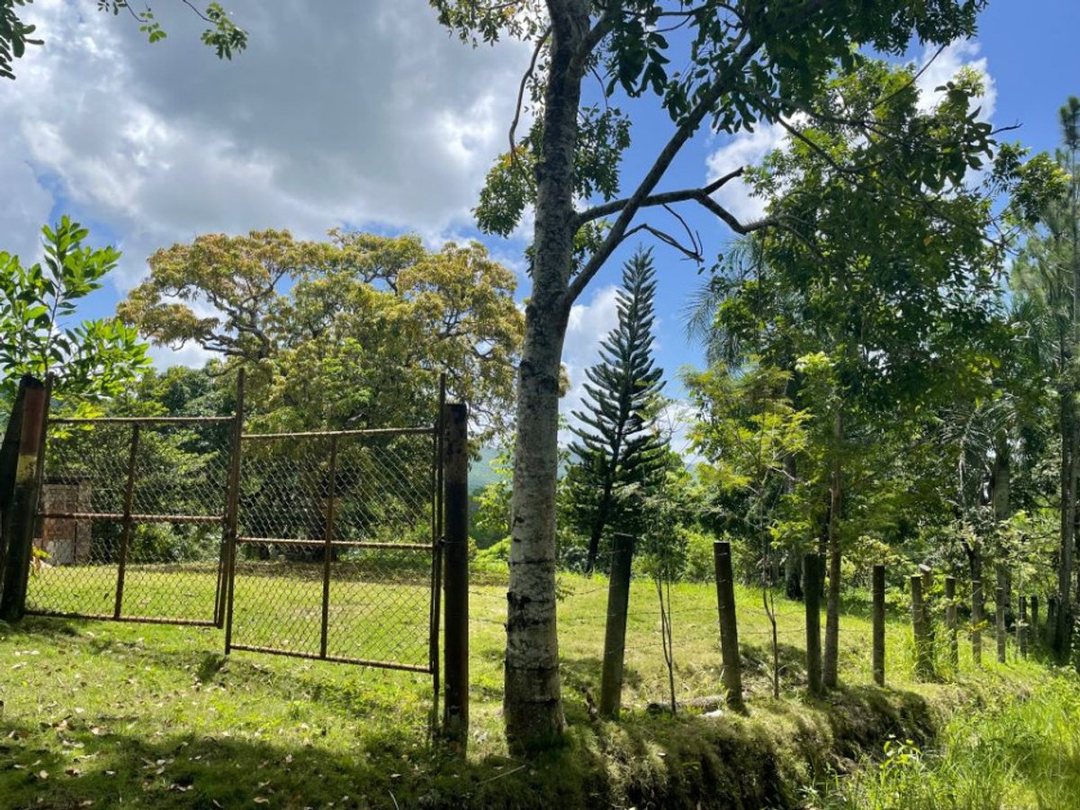 Solar en Villa Altagracia, foto 4