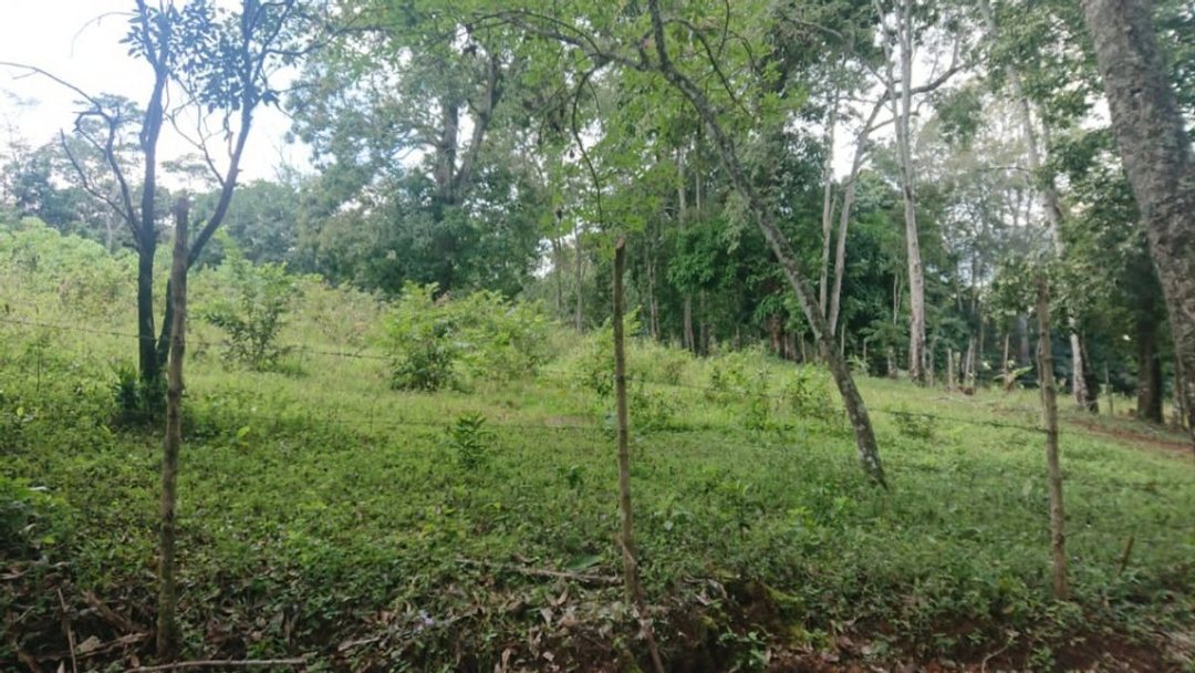 Solar en La Quebrada, Jarabacoa, foto 3