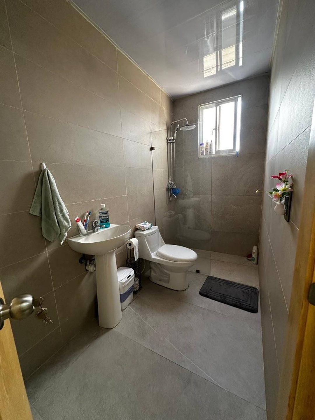 Penthouse en Canastica o Paraíso, foto 2
