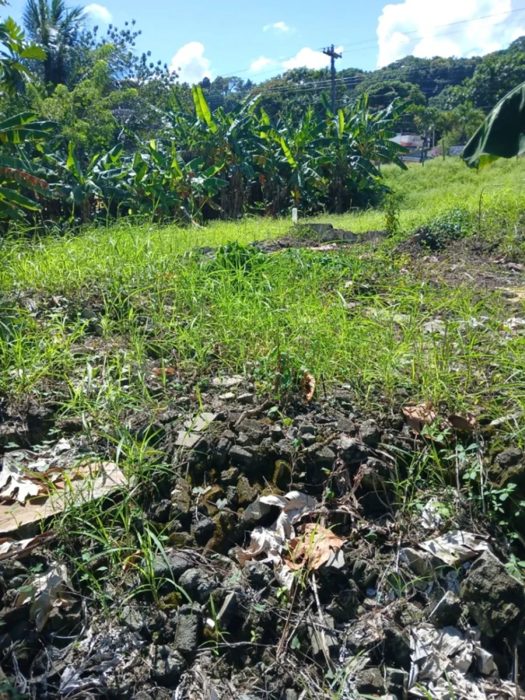 Solar en Cabrera, Abreu, foto 4