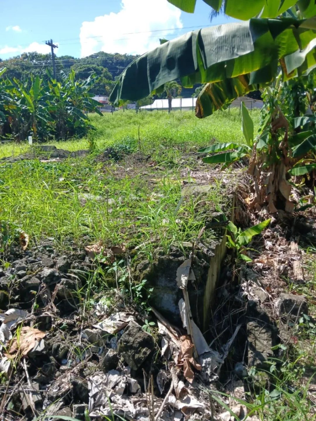 Solar en Cabrera, Abreu, foto 3