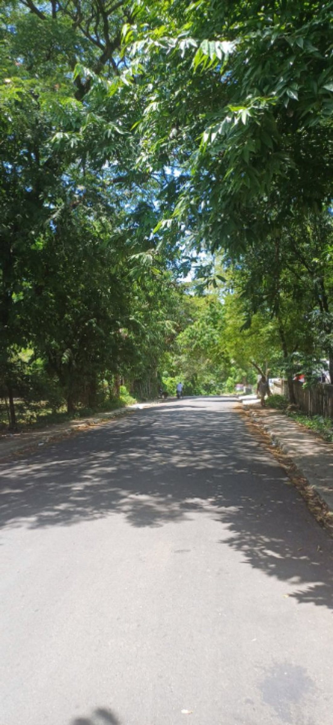 Solar en Hatillo, San Cristóbal, foto 3