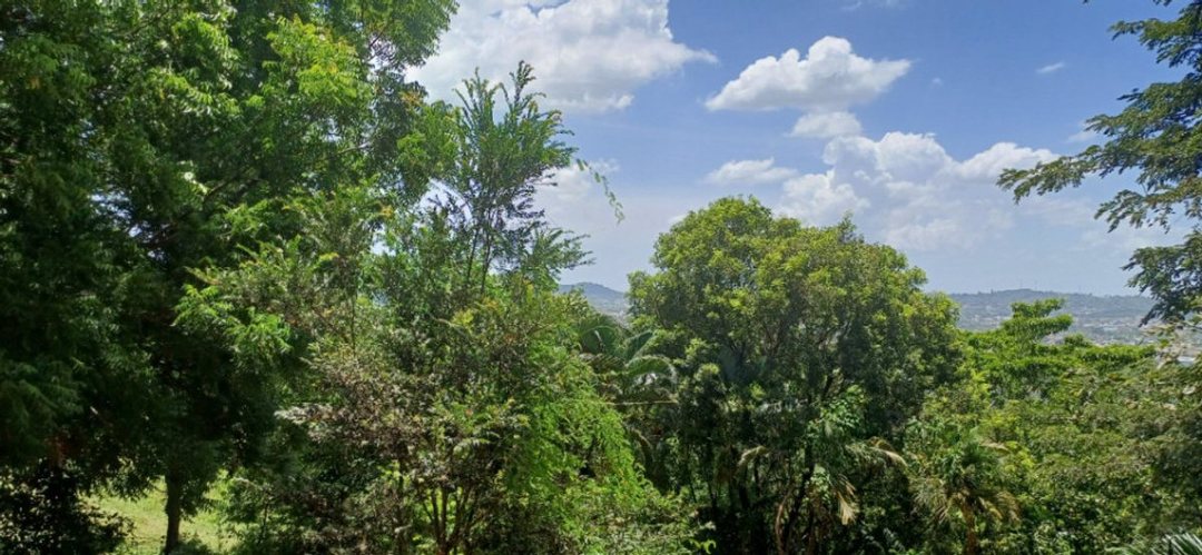 Solar en Hatillo, San Cristóbal, foto 2