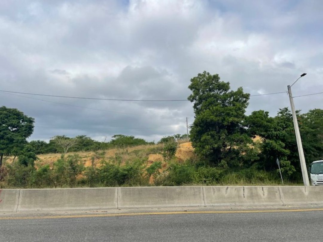 Lot in El Pedregal