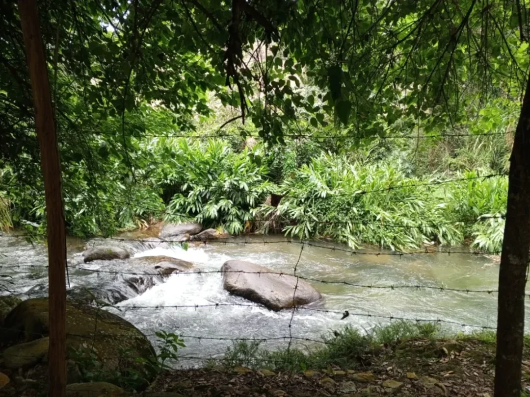 Lot in Manabao