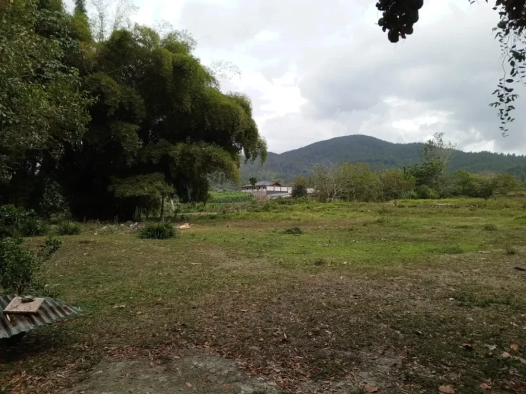 Solar en Manabao, foto 5