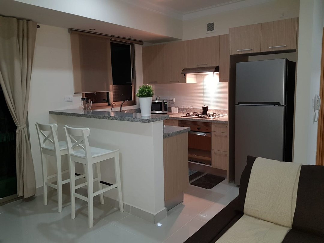 Apartamento en Gazcue, foto 4
