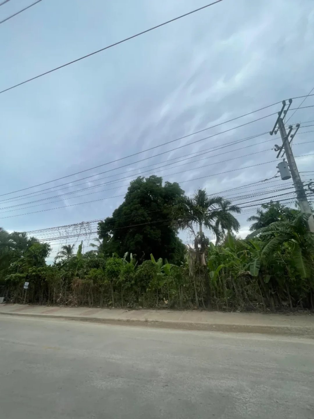 Solar en Las Terrenas (Cabecera), foto 2