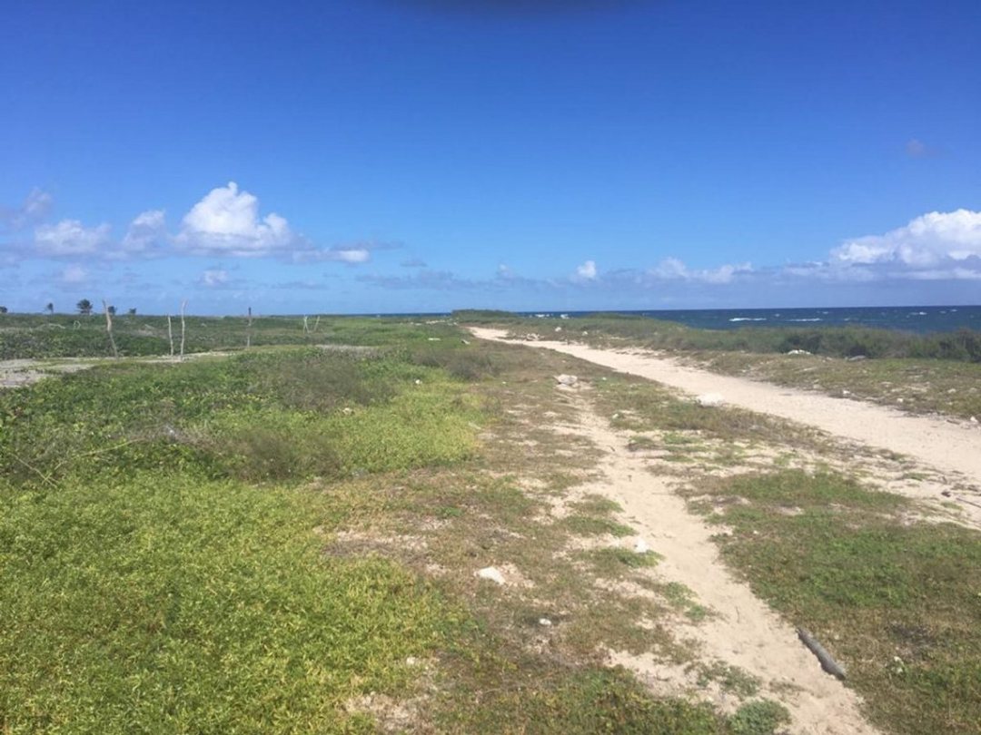 Solar en Punta Cana, Higüey, foto 4
