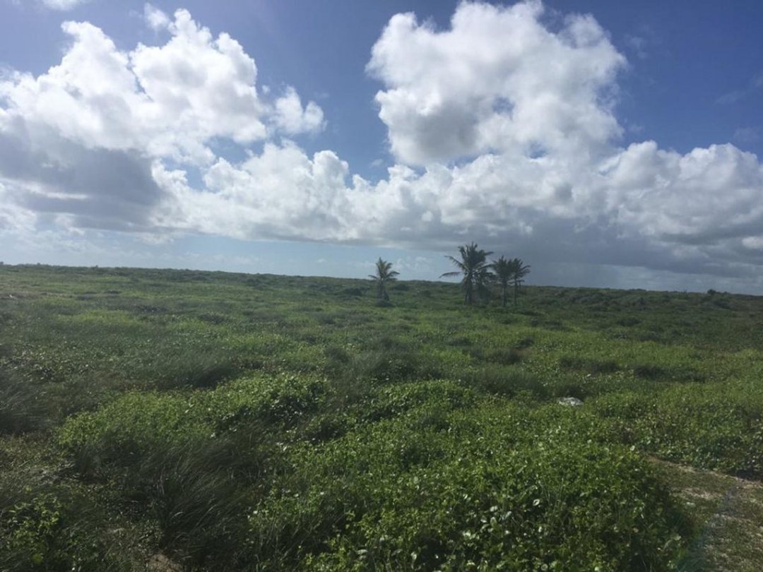 Solar en Punta Cana, Higüey, foto 3