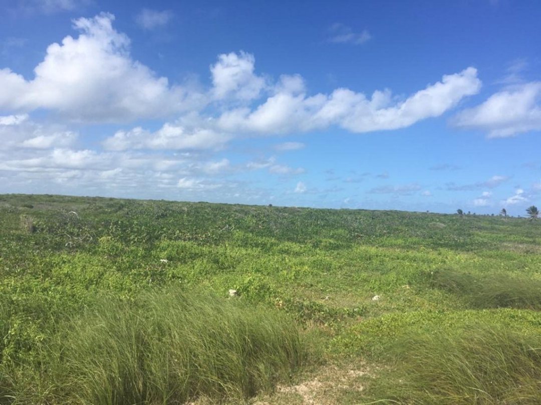 Solar en Punta Cana, Higüey, foto 5