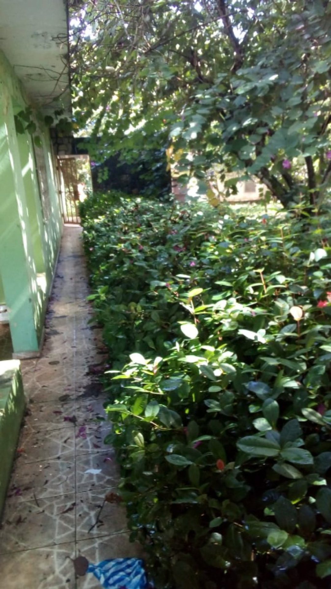 Casa en Río San Juan, foto 3