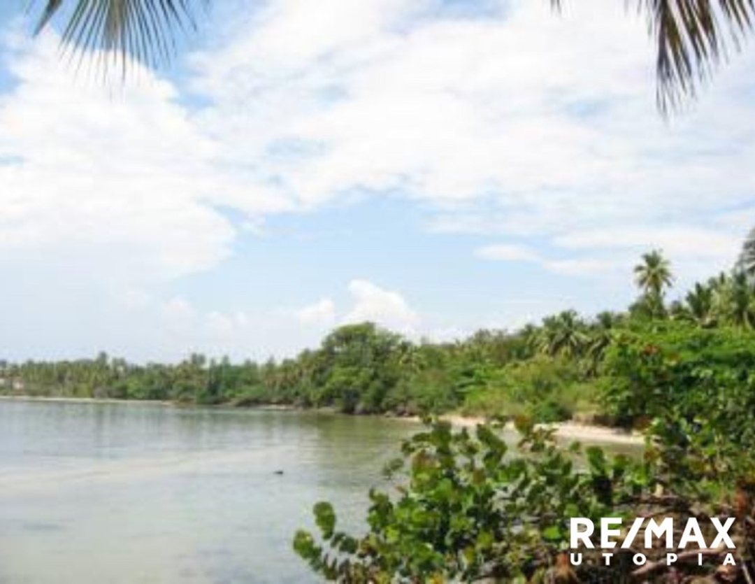 Solar en Río Los Cocos, Samaná, foto 5