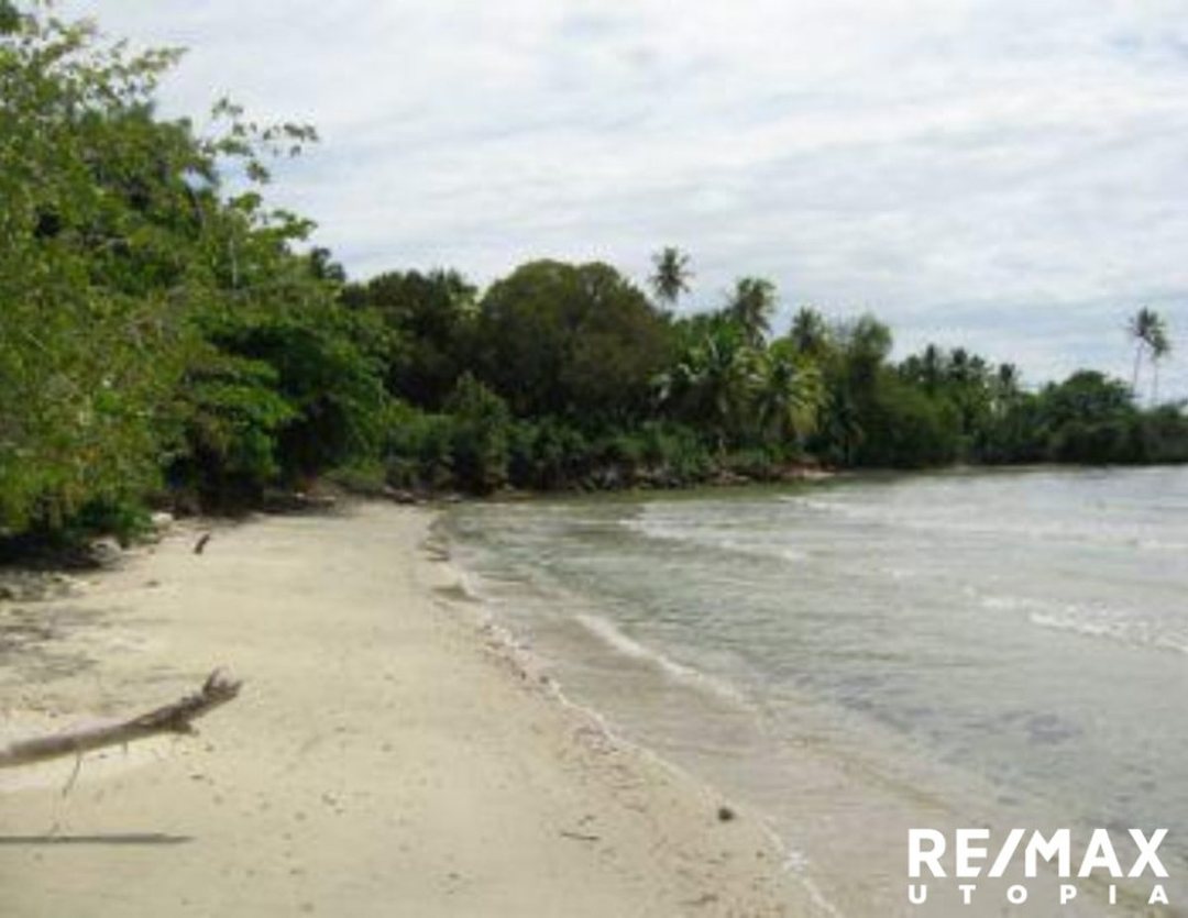Solar en Río Los Cocos, Samaná, foto 2