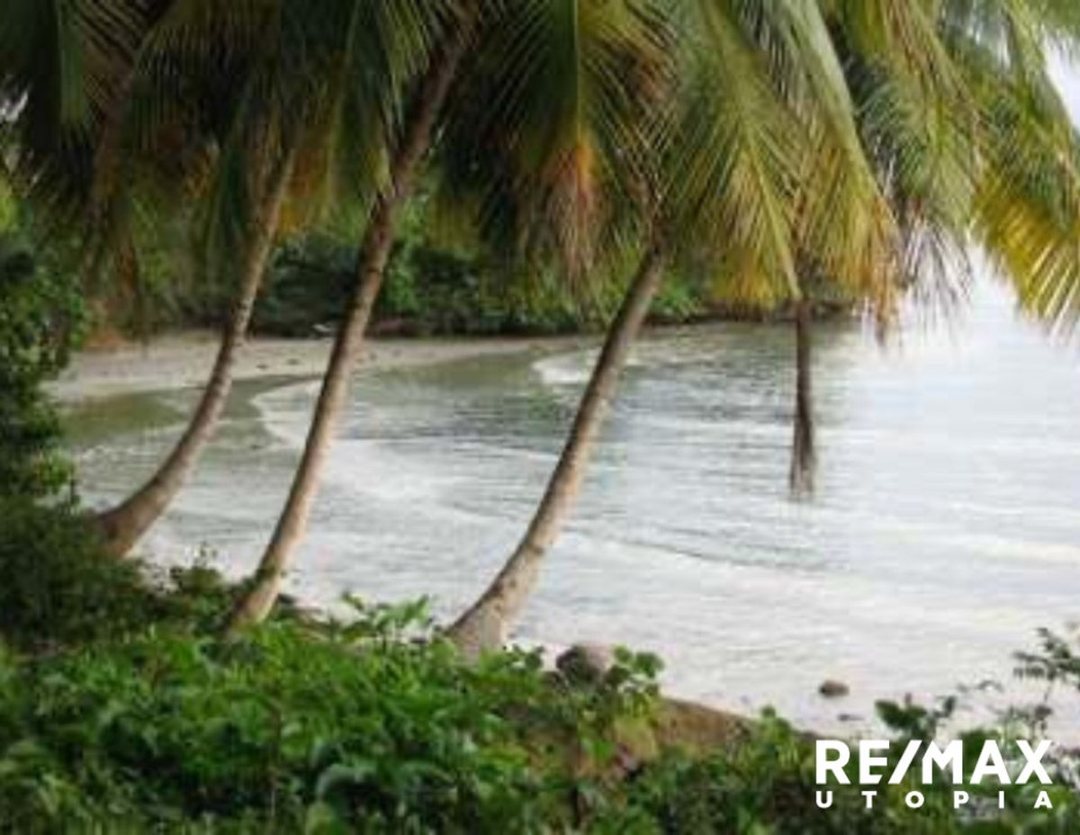 Solar en Río Los Cocos, Samaná, foto 3