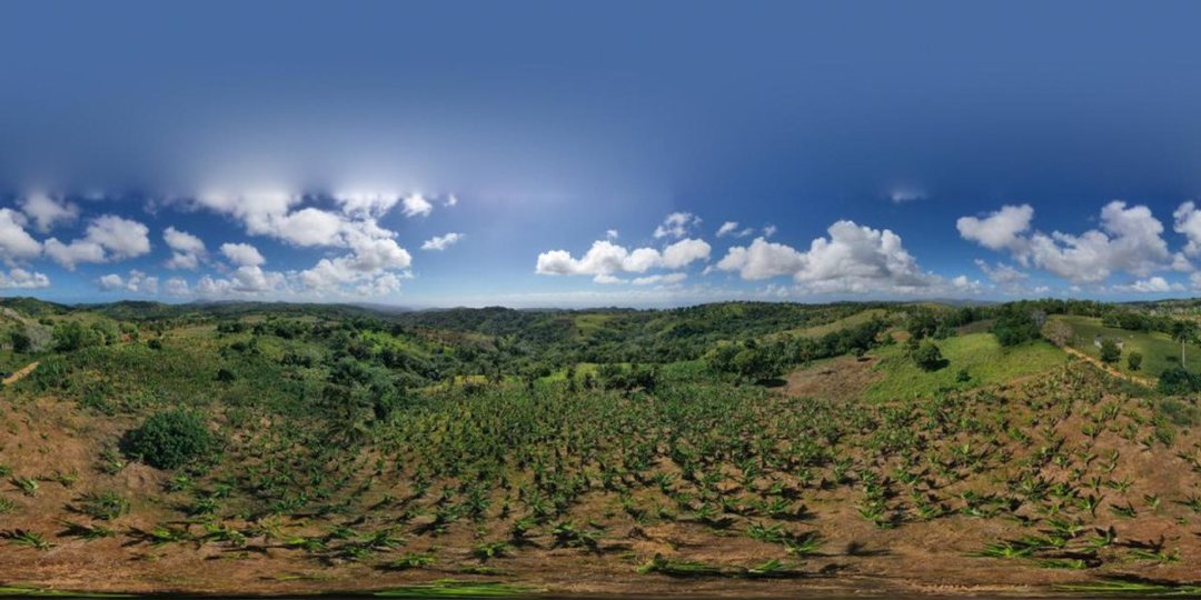 Solar en Samaná, Juana Vicenta, foto 4
