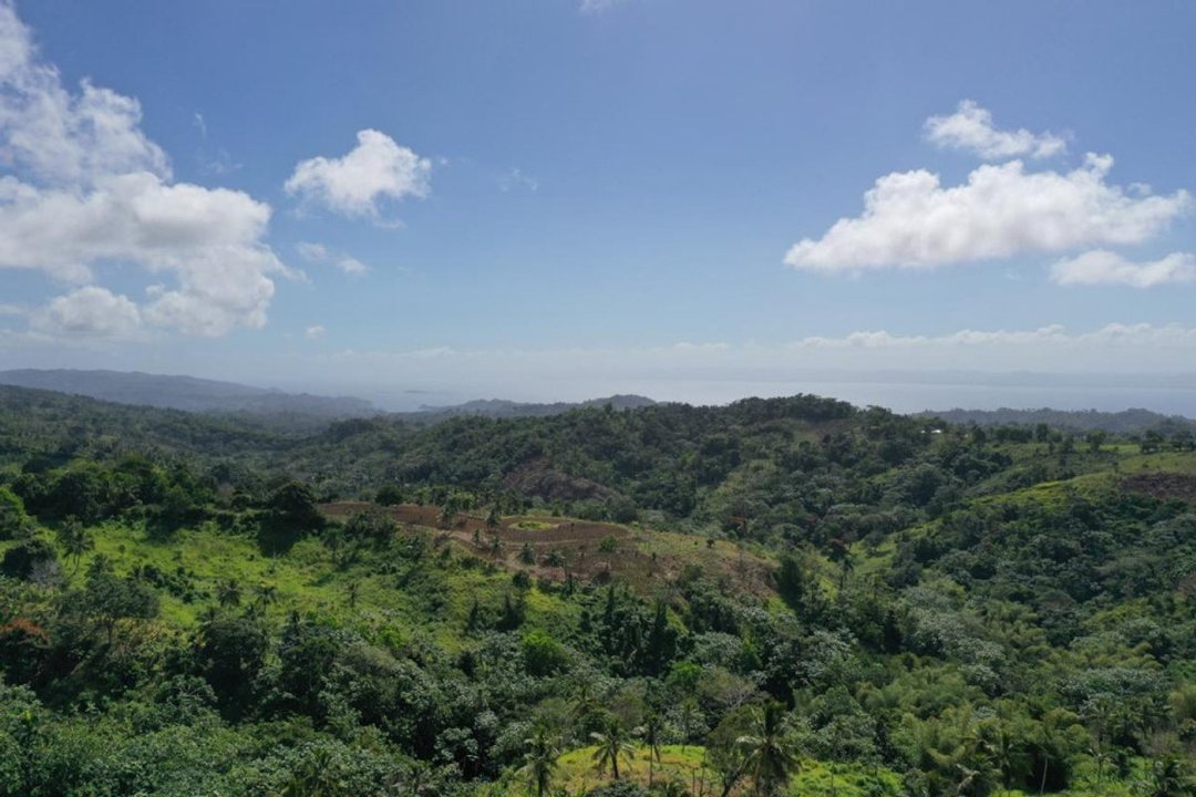 Solar en Samaná, Juana Vicenta, foto 2