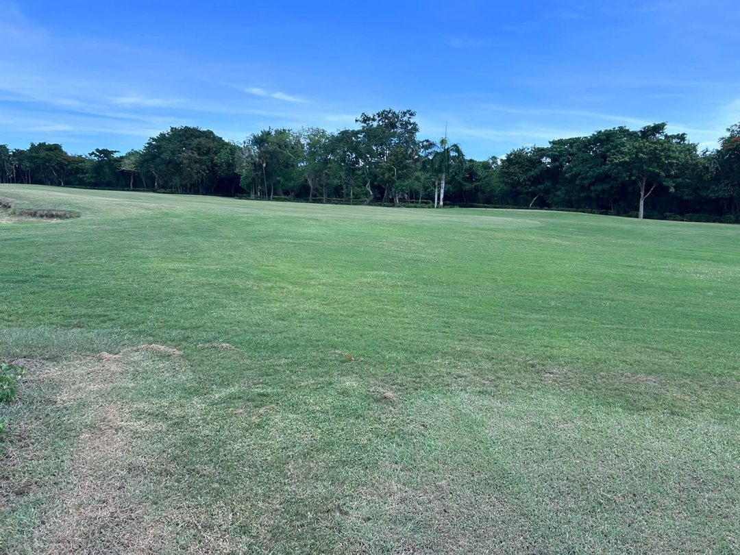 Solar en Guavaberry Country Club
