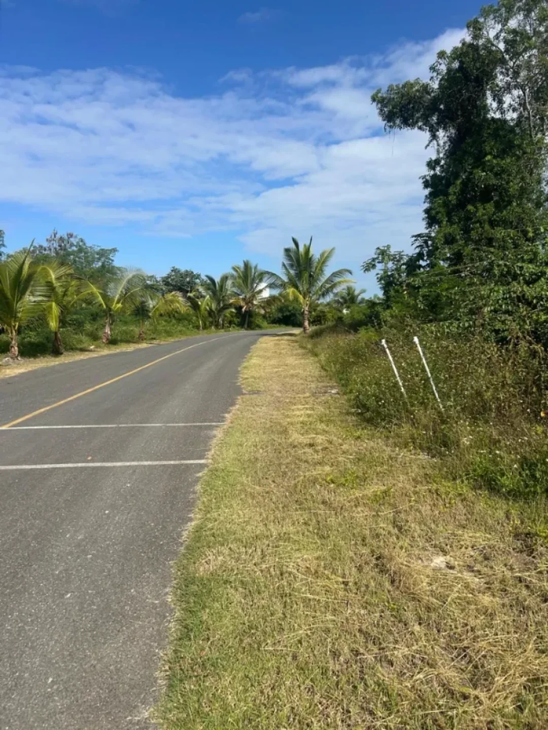 Solar en Guayacanes, foto 4
