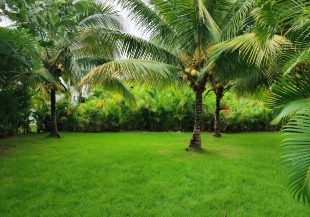 Casa en Playa Nueva Romana, foto 4