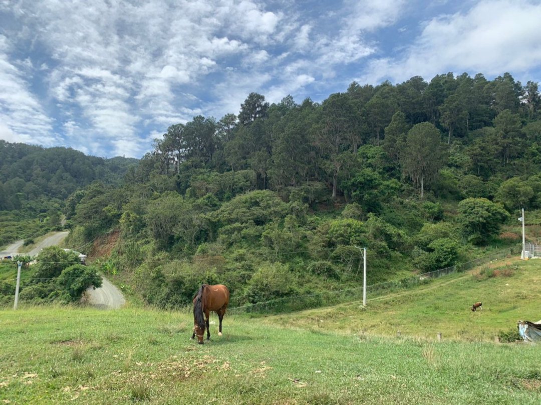 Solar en La Colonia, foto 4